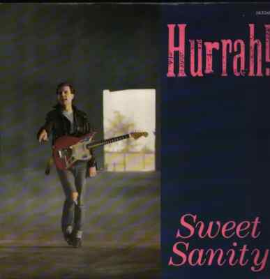 Hurrah! Sweet Sanity Vinyl Single 12inch NEAR MINT Kitchenware