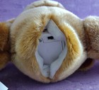 Bild 9 von 9