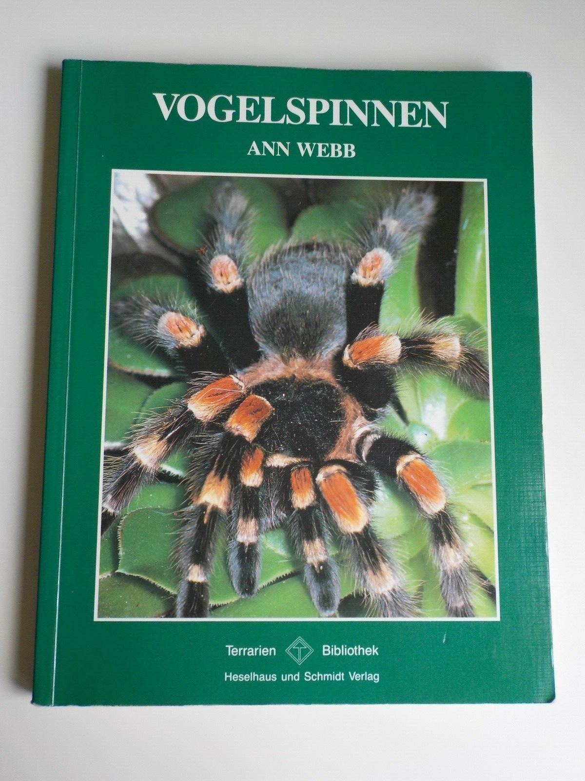 Vogelspinnen Terrarium gebraucht kaufen! Nur 3 St. bis -65% günstiger
