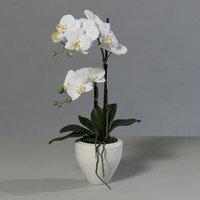 Orchidee Kunstpflanze Phalaenopsis Weiß H. 58Cm Keramiktopf Weiß Kunstblume