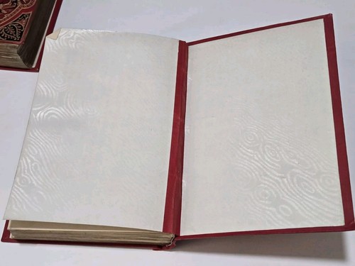 The Holy Bible Gustave Dore Illustrated 2 Volumes Italian 1897/1906 Milano READ - Picture 22 of 22