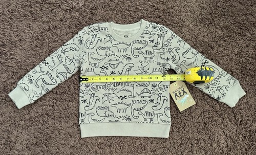Maximus REX Boys 4T Brown Long Sleeve Sweater with Dinosaur Print – NWT - Picture 4 of 9