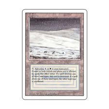WOTC MtG 3rd Ed Tundra (R) VG-