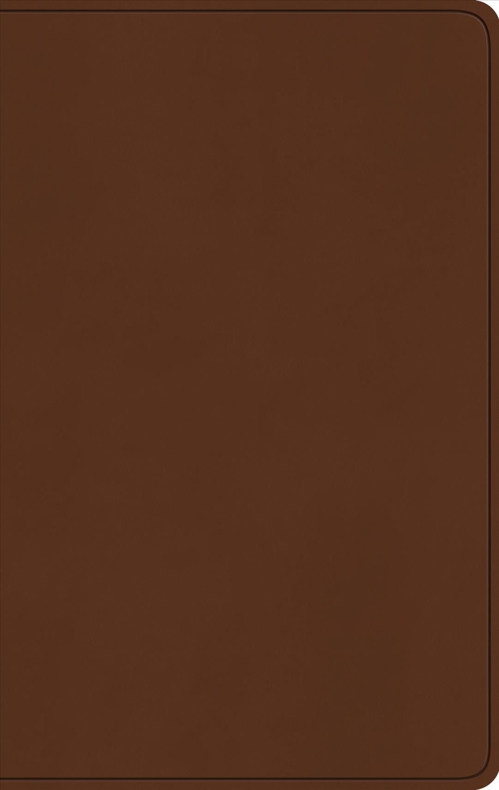 ESV Large Print Value Thinline Bible (Leather / fine binding)