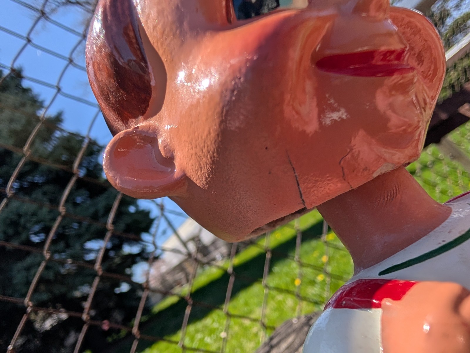 Bild 12 von 19