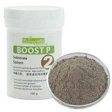 BorneoWild Boost P 100g Slow Release Nutrients Stimulate Plant Growth Aquarium