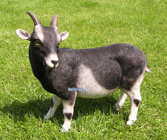 Zicklein Ziege Bergziege Schwarz Weiss Deko Figur Alpen Bayern Dekofigur Mit Horn Ebay