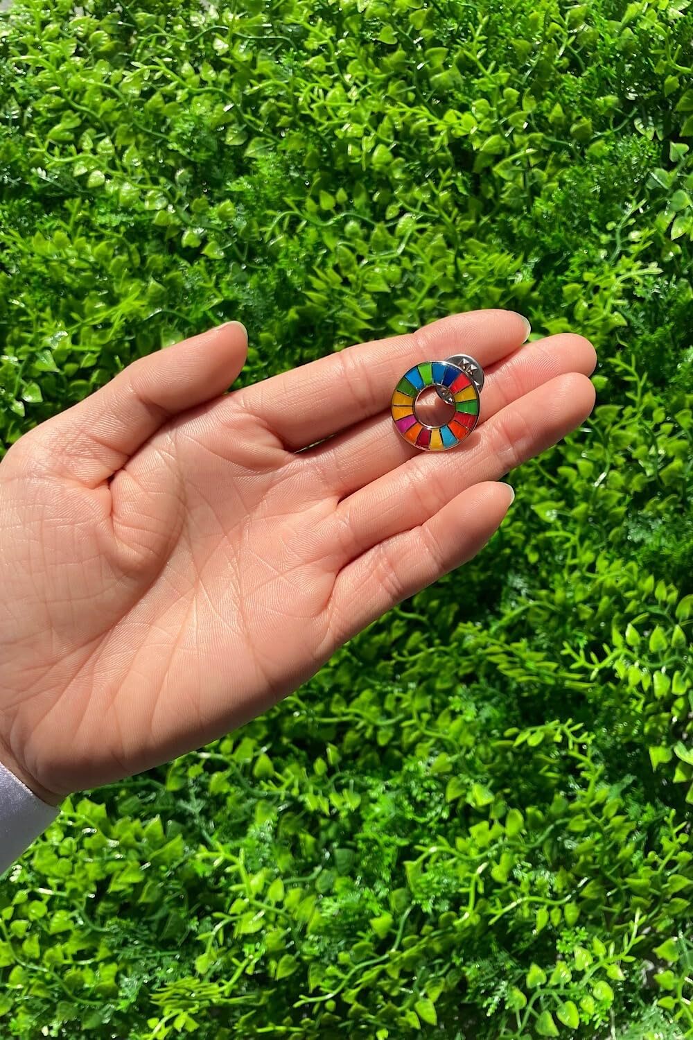 UN SDGs Gold Cloisonne Badge - Clip-On 0.8 Inch Sustainable Development Goals Pin - View #12