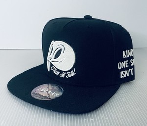 NIKE 90's SPACE JAM JODAN キャップ NIKE 90's SPACE JAM JODAN キャップ 未使用】SPACE JAM CAP
