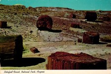Petrified Forest National Park Arizona Postcard