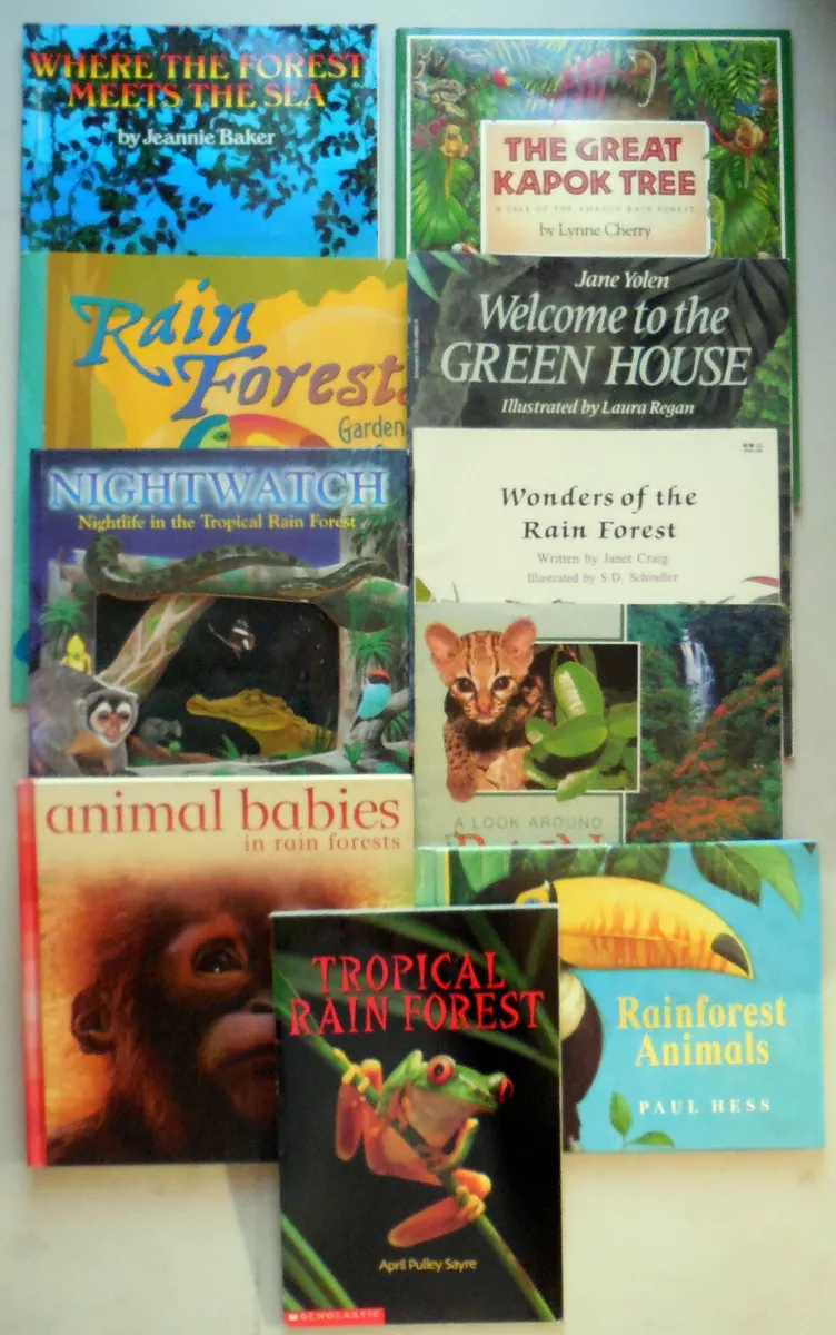 The Best Children's Rain Books