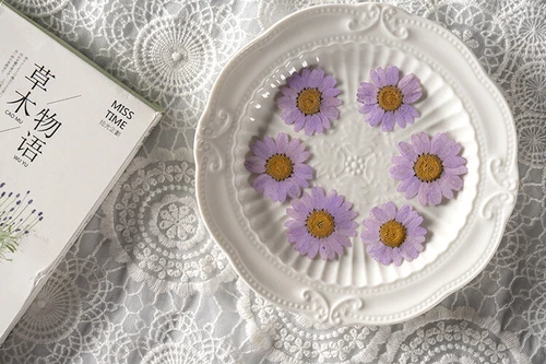Dried Pressed Flowers Natural Epoxy Resin Candle Nail Art Scrapbooking Craft AU - Picture 87 of 210