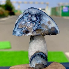 75G Top natural Gobi agate eye agate/stone carved mushroom Madagascar