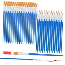 60 Piece Paint Brush Set, 30 Pointed Tip and 30 30 Flat and 30 Fine Pointed Tip