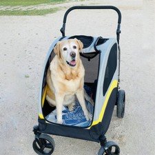 Hundewagen Hundebuggy Haustierwagen Hundetrolley Faltbar Bingopaw mit 4 R&auml;der 