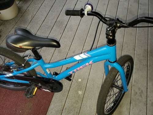Trek 20 In Precaliber Bike girls blue 