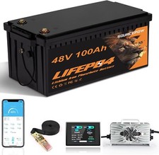 48V100Ah LiFePO4 Lithium Golf Cart Battery, 200A BMS,Touch Monitor  18A Charger