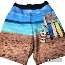 Boys Board Shorts Large 10-12 Pull-On Swim Wonder Nation Surfboard Graphics