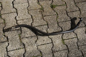 Klimaleitung Klimaschlauch Kompressor zum Verdampfer eines Range Rover von 1989