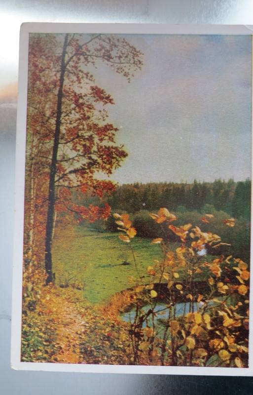 1964 SOVIET POSTCARD.  Moscow region. Colored picture by N. Amosova