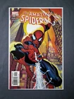 The Amazing Spider-Man  #491   (Marvel Comics 2003)