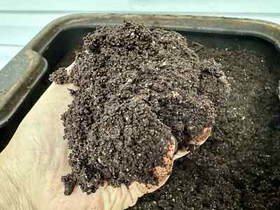 8 oz Organic Worm Castings: Nutrient-Rich Soil for Houseplants & Gardens 
