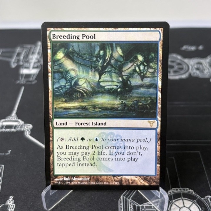 Magic: The Gathering Breeding Pool Dissension Rare #172/180 Regular English 2006
