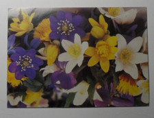STAMPMART : SWEDEN FLOWERS GREETINGS POSTCARD USED TO NEW YORK USA