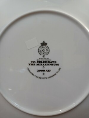 2000年限定 THE Millennium PLate Royal Worcester Plate To Celebrate The Millennium 2000