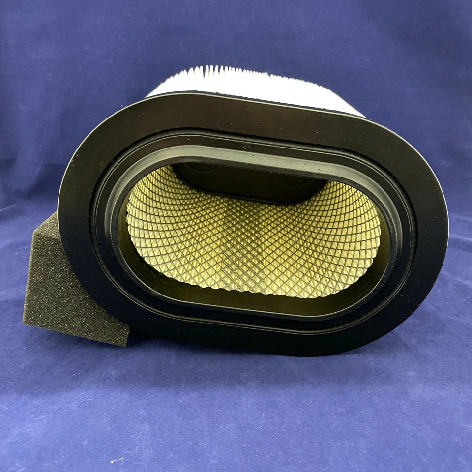 Juego de 2: filtros de aire del motor ProTUNE con especificaciones originales para Ford parte #: FA1927 5000-594599 Foto 4 de 4