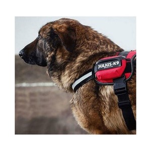 k9 idc harness