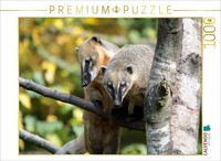 Calvendo Puzzle South American Coatis | 1000 Pieces, Finished Size 25.2 × 18.9 I