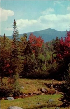 Green Mountain State Vermont Scenic Mountain Landscape Chrome Postcard
