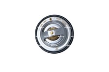 Thermostat Ford EXPLORER