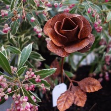 Blumenstecker Gartenstecker Edel-Rost ROSE Garten Balkon Terrasse Blume - H 40cm