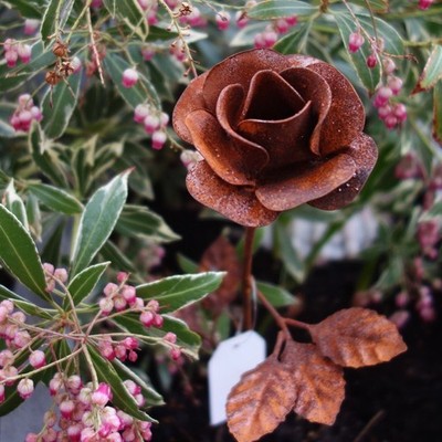 Blumenstecker Gartenstecker Edel-Rost ROSE Garten Balkon Terrasse Blume - H 40cm