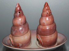 CARLTON WARE SEA SHELLS SALT & PEPPER CRUET SET & STAND