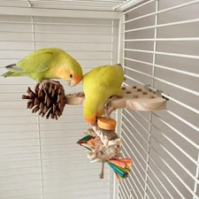 Wooden Parrot Bird Perch Stand Bird Cage Platform Hanging Budgie Foraging Toy *