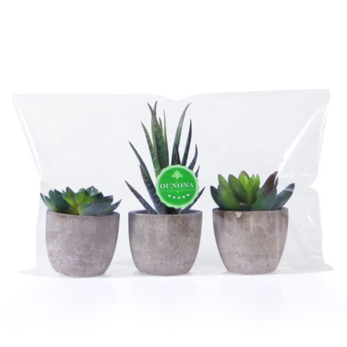 3pcs Artificial Potted Succulents Cacti Plants With Pots - Foto 1 di 5