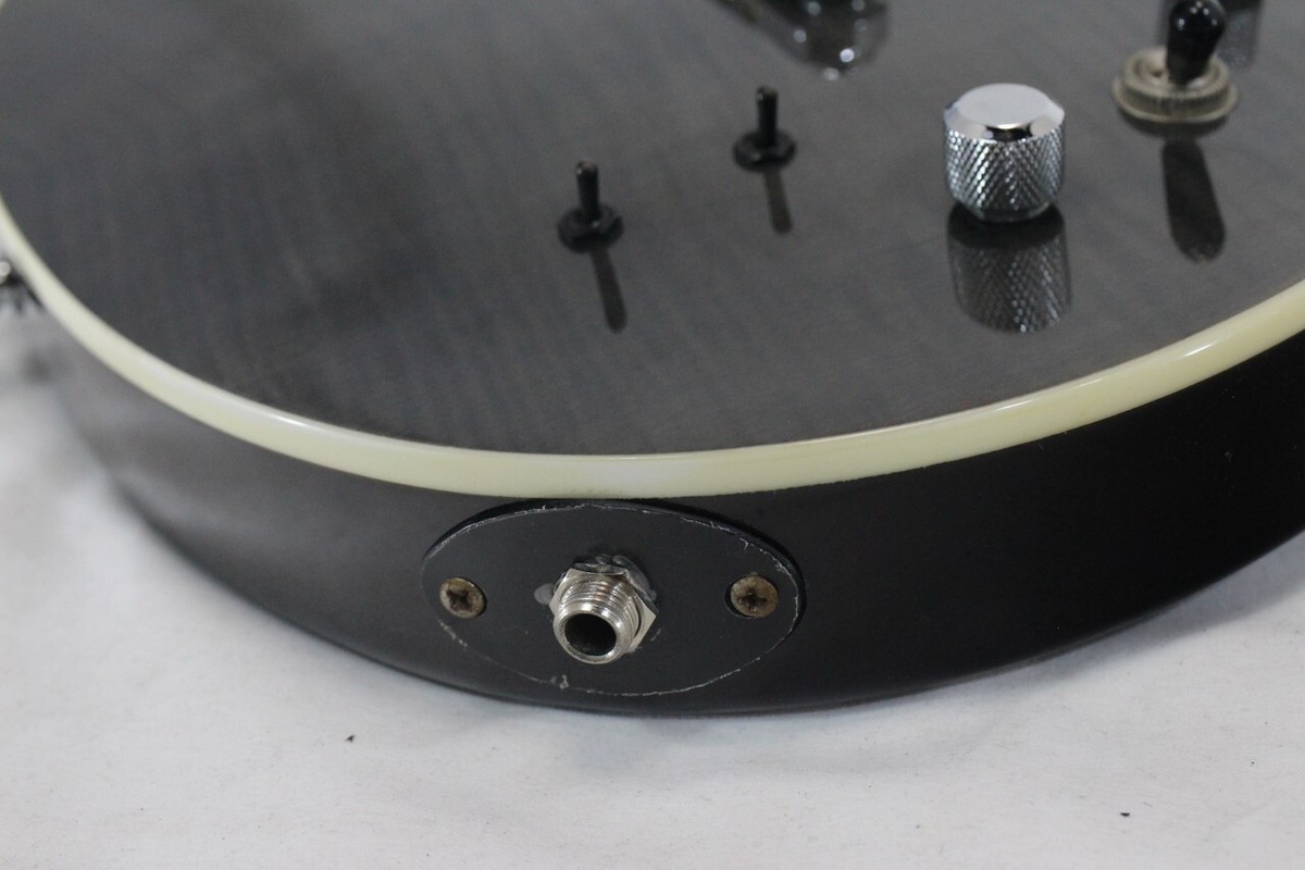 FERNANDES] APG-55S Electric Guitar Main Unit Only From Japan
