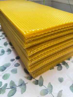 Pure Ukrainian Beeswax Sheets 16x8 for Candle Making  Choose 10, 20, 30, 50, 100
