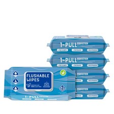 2Pack of Flushable Wet Wipes Vitamin E Aloe 42 count soft and gentle on skin