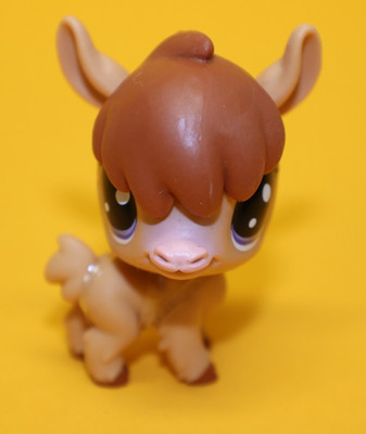 Hasbro Littlest Pet Shop Lucky Pets Nita