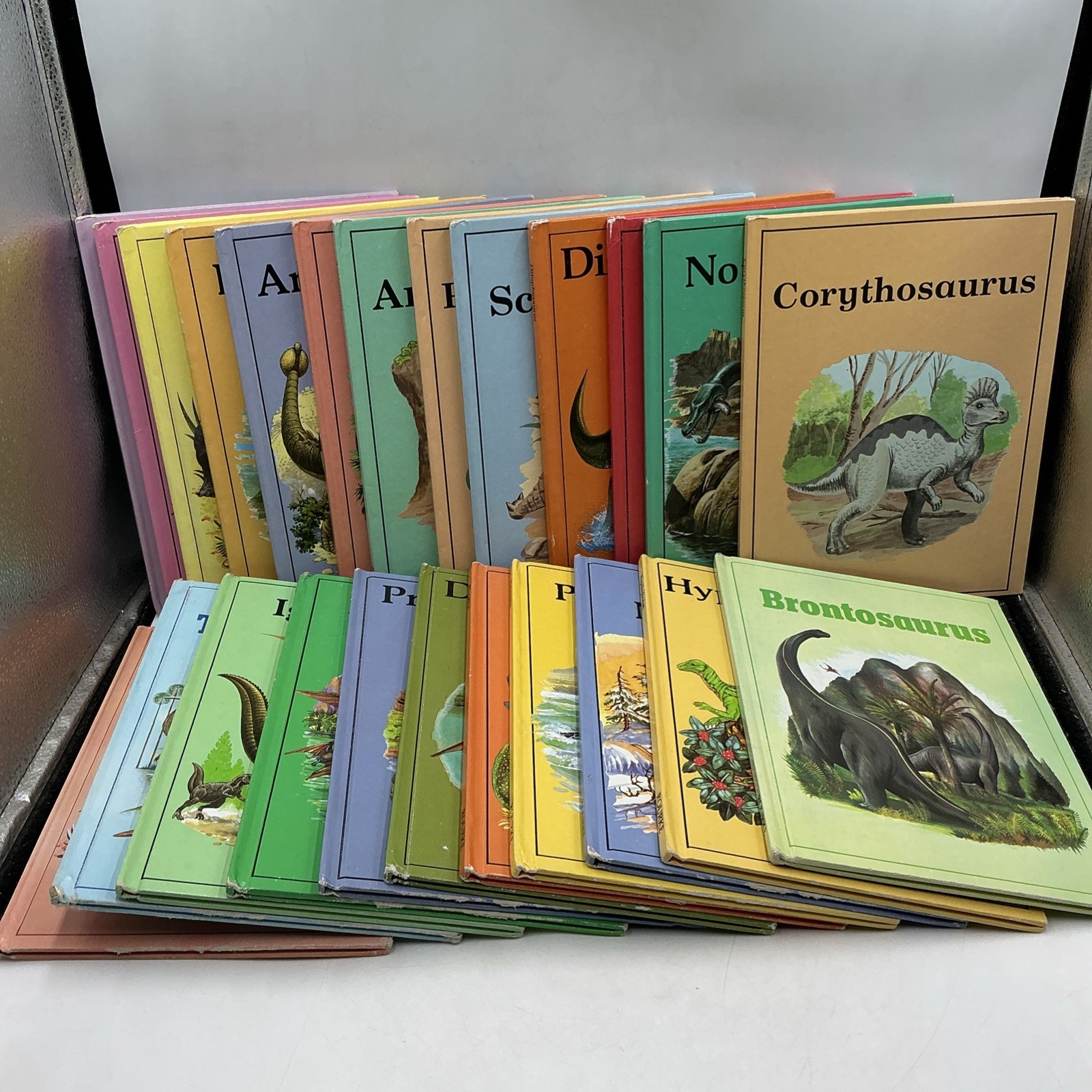 Lot Of 24 Dinosaur Children’s 1980's Books Series  - Rourke Enterprises- Good