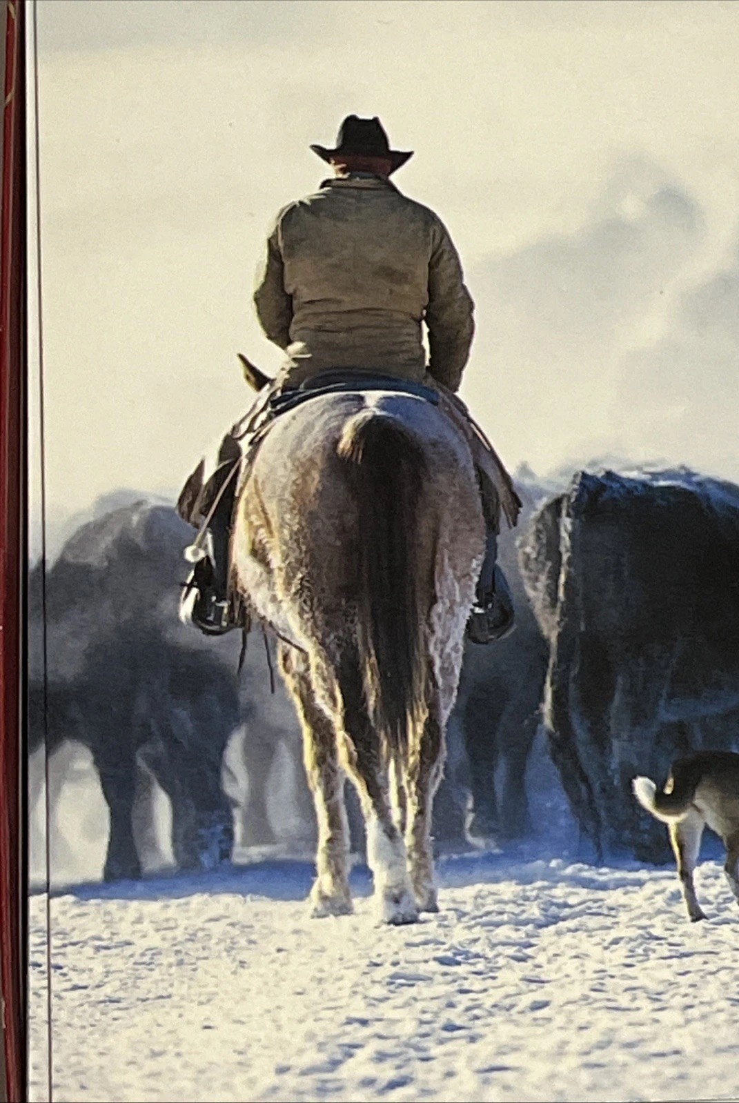 2 Packs Christmas Cards Leanin' Tree 20 Total Horse  Cowboy Winter Holiday 5X7