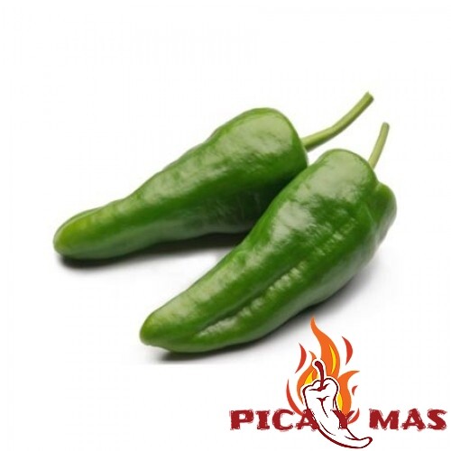 PIMIENTOS DE PADRON SEMILLAS 30 UNIDADES AUTENTICAS NO HIBRIDOS