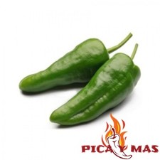 PIMIENTOS DE PADRON SEMILLAS 30 UNIDADES…