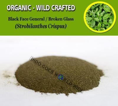 POWDER Black Face General Broken Glass Strobilanthes Crispus Organic WildCrafted
