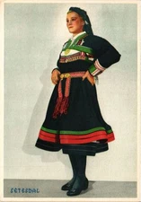 Old postcard AK NORWAY Setesdal (257911)