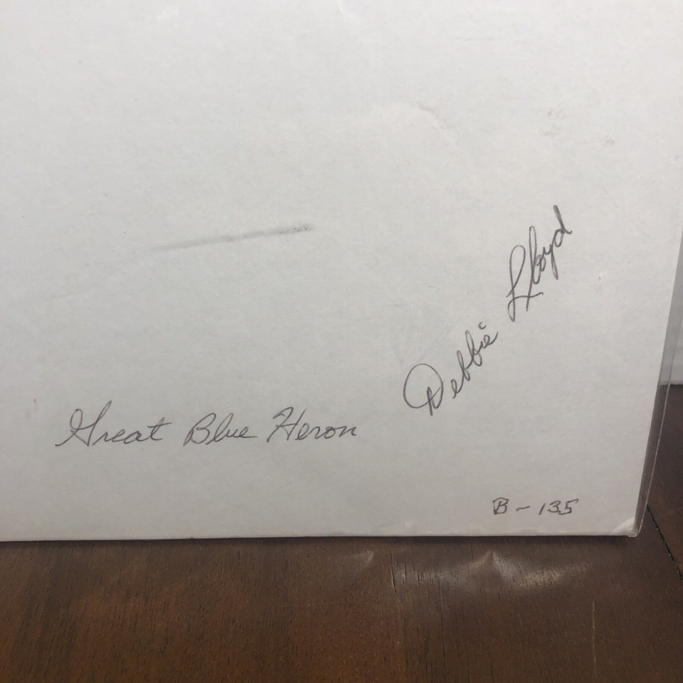 Great Blue Heron Color Photograph With 8 x 10 Mat Debbie Lloyd